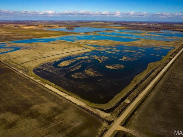 0 County Road 714, Matthews, MO 63845