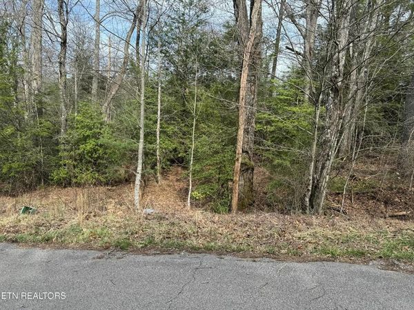 Lot 11 Ferry Bend Trail, Crossville, TN 38571
