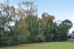 1657 E Montague Avenue photo 4