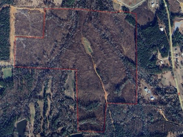 0 Gorgas Road, Berry, AL 35546