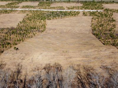 8 Hwy 6, Cross, SC 29436