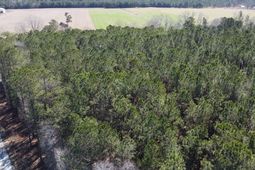 0 Mail Route Road photo 4