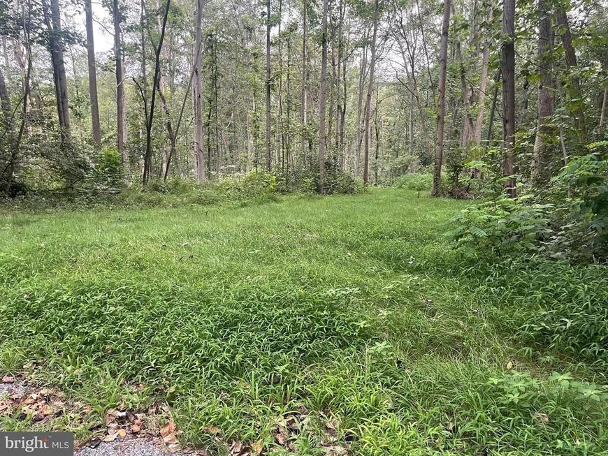 0 Laurel Road, Narvon, PA 17555 Main Photo