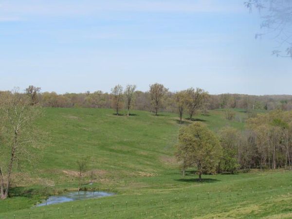 2799 Sparks Road, Norwood, MO 65717