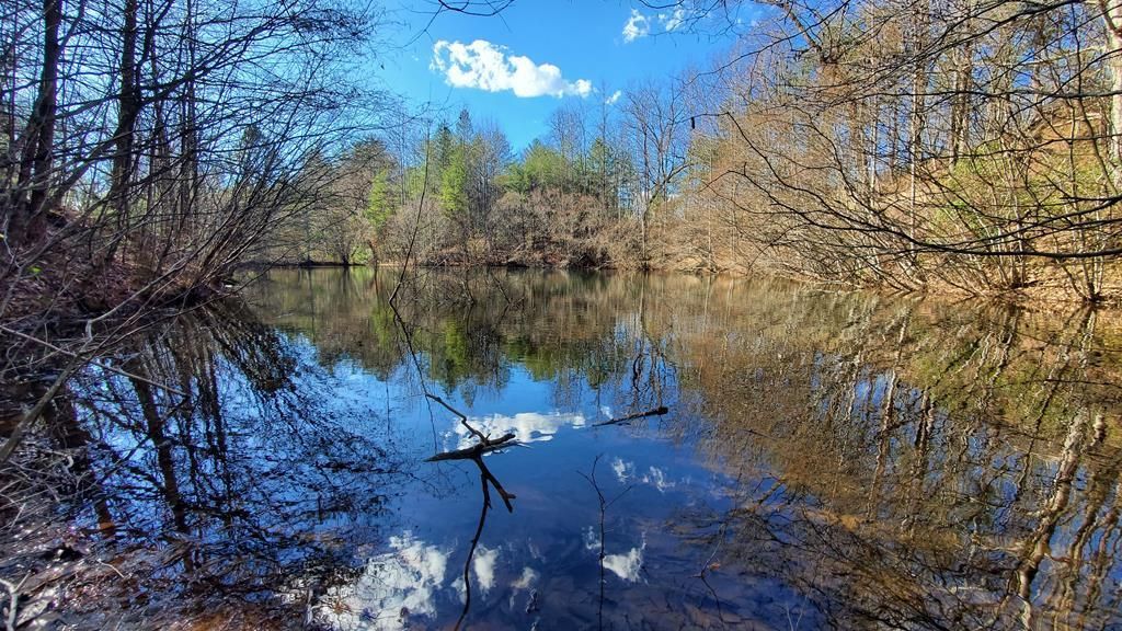 51+ Acre Mountain Cove Way, Cherrylog, GA 30522 Main Photo