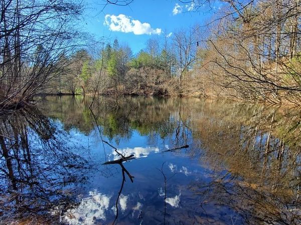 51+ acre Mountain Cove Way, Cherry Log, GA 30522