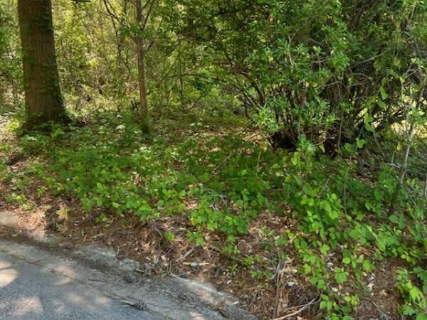 0 William Street, Princeville, NC 27886