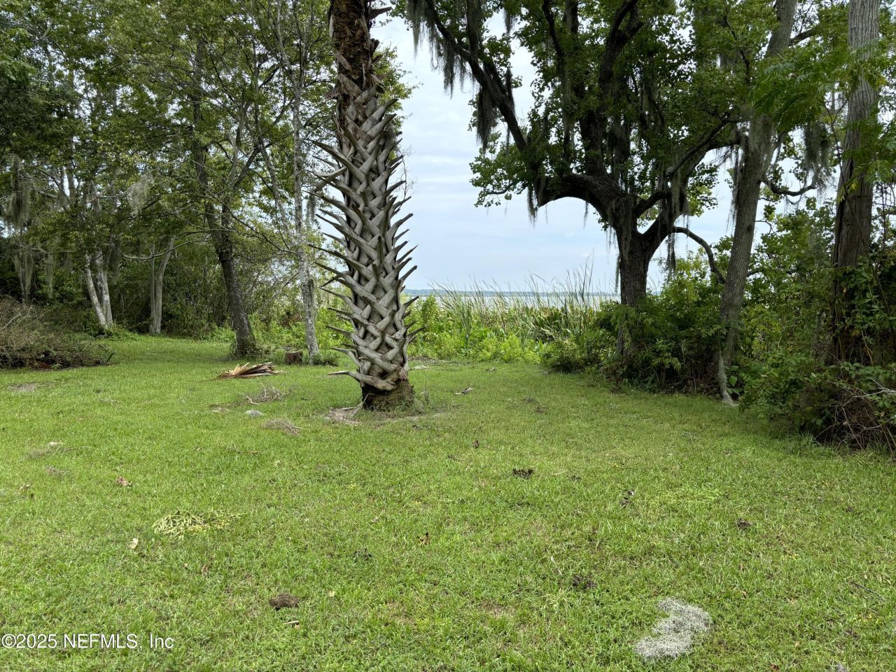 6001 Bird Island Drive, Lady Lake, FL 32159 Photo