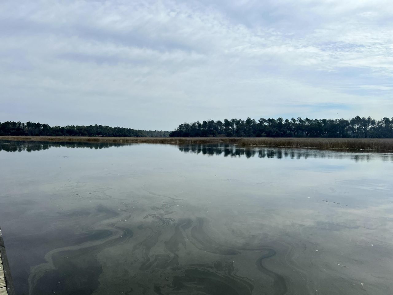 112 Founders Oak Way Photo 11