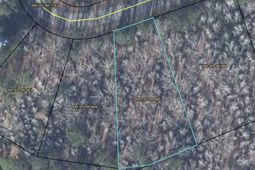 112 Founders Oak Way photo 4