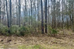 112 Founders Oak Way photo 4