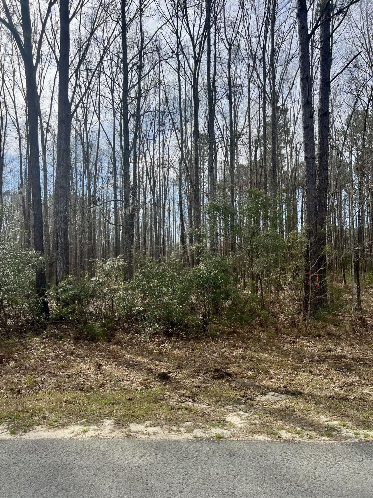 112 Founders Oak Way Photo 4