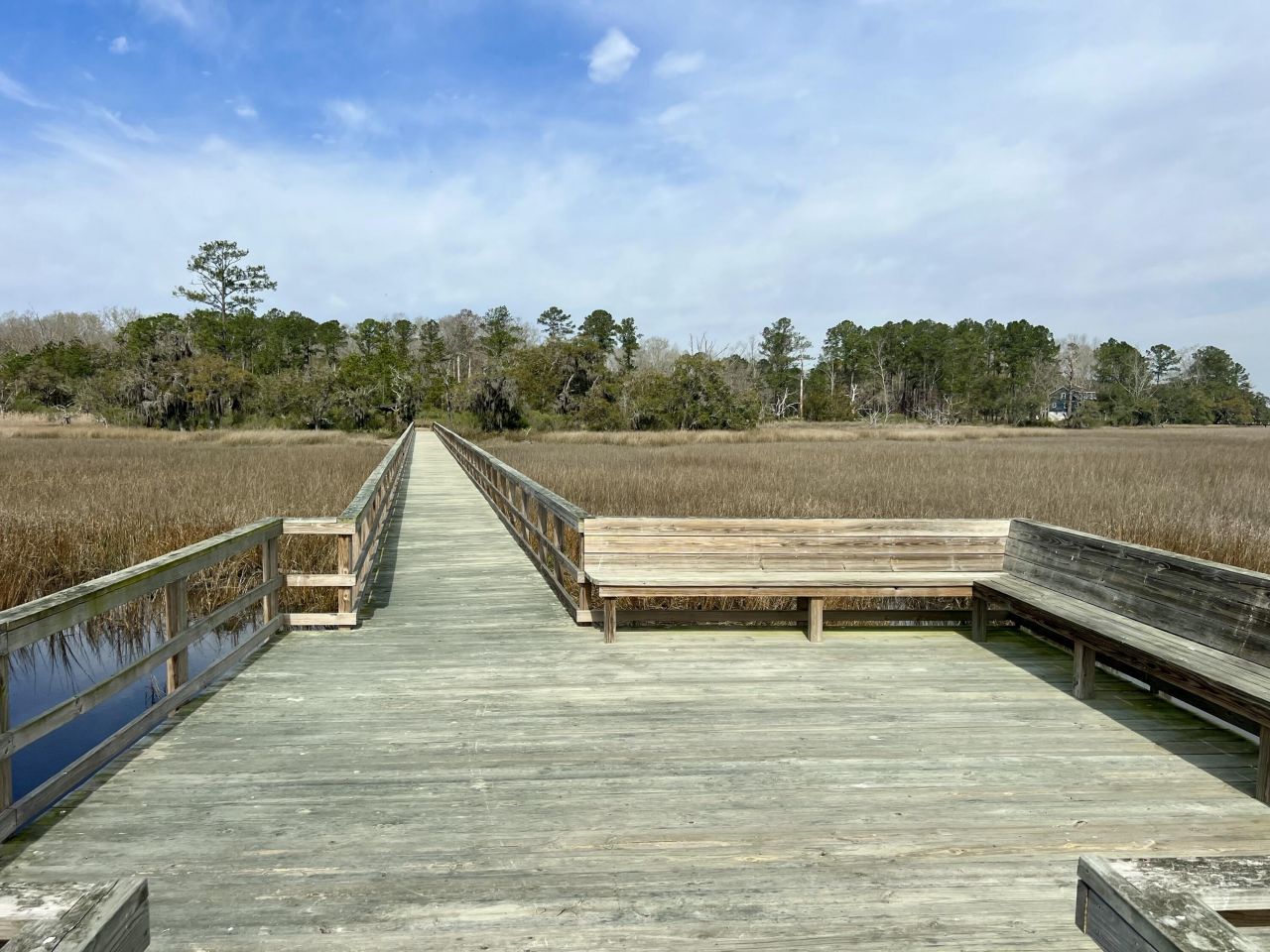 112 Founders Oak Way Photo 9