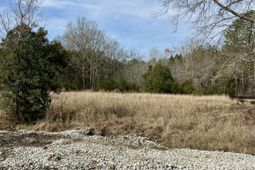 127 Chicora Lane photo 4