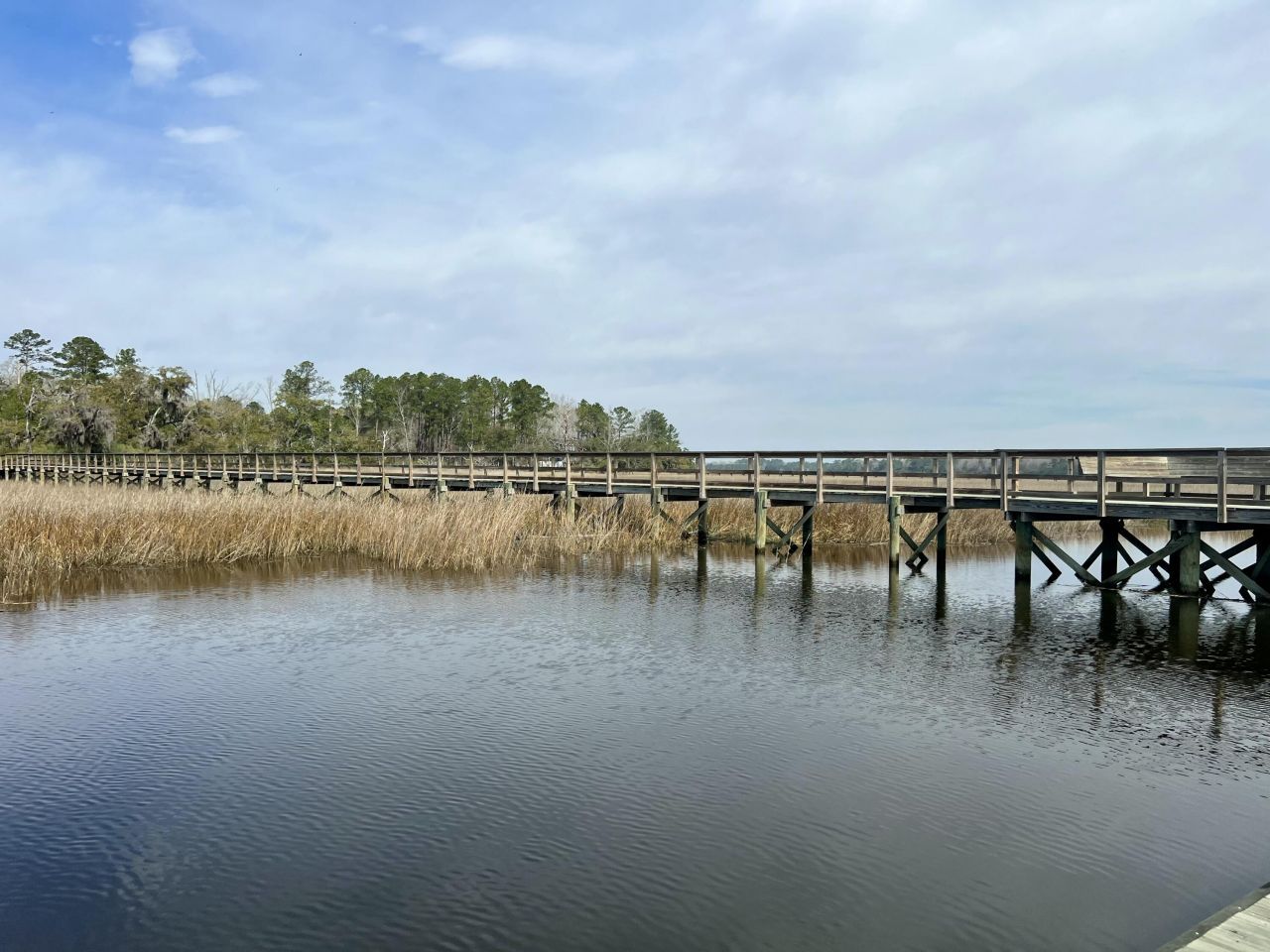 237 Founders Oak Way Photo 12