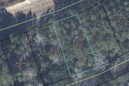 237 Founders Oak Way photo 4