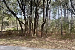 237 Founders Oak Way photo 4