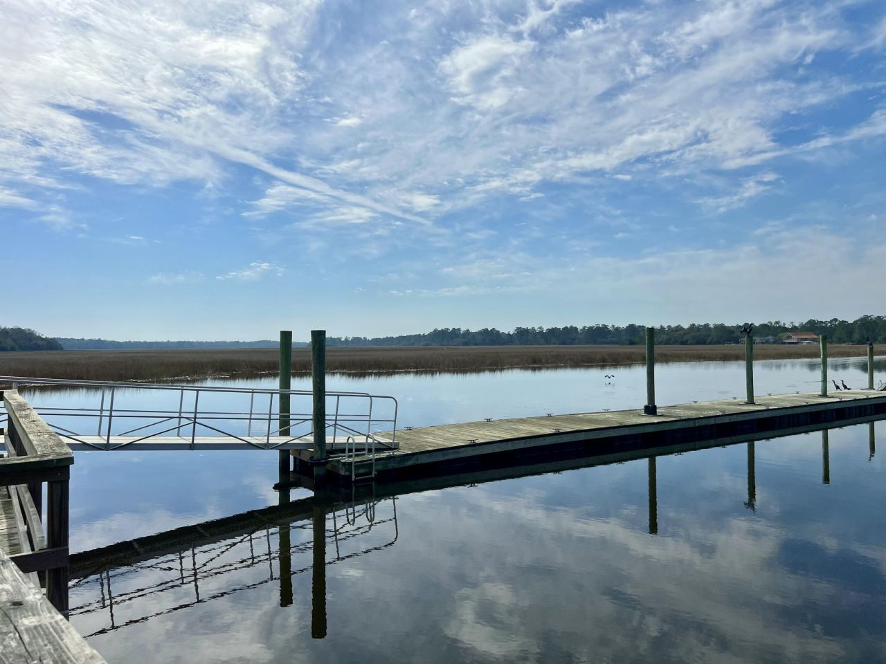 237 Founders Oak Way Photo 7