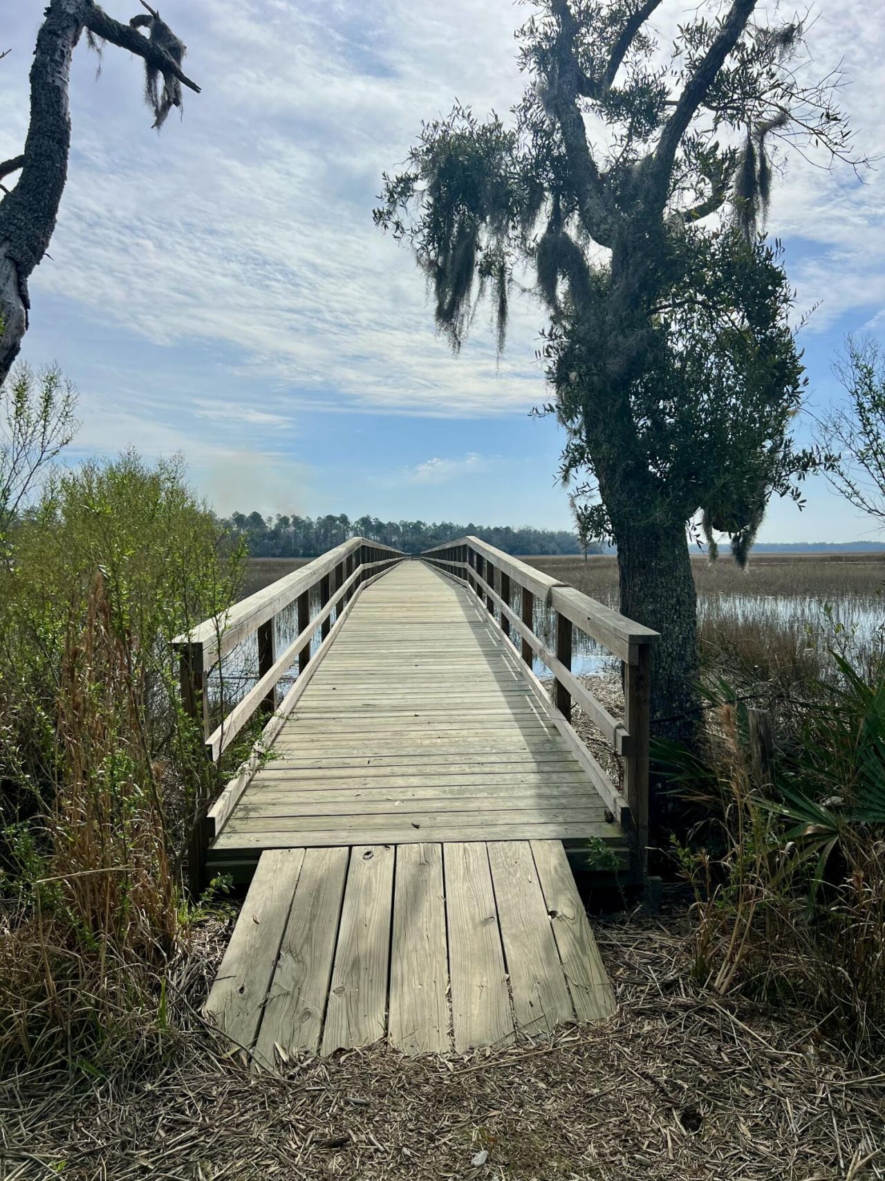 413 Somerset Drive Photo 10