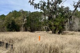 413 Somerset Drive photo 4