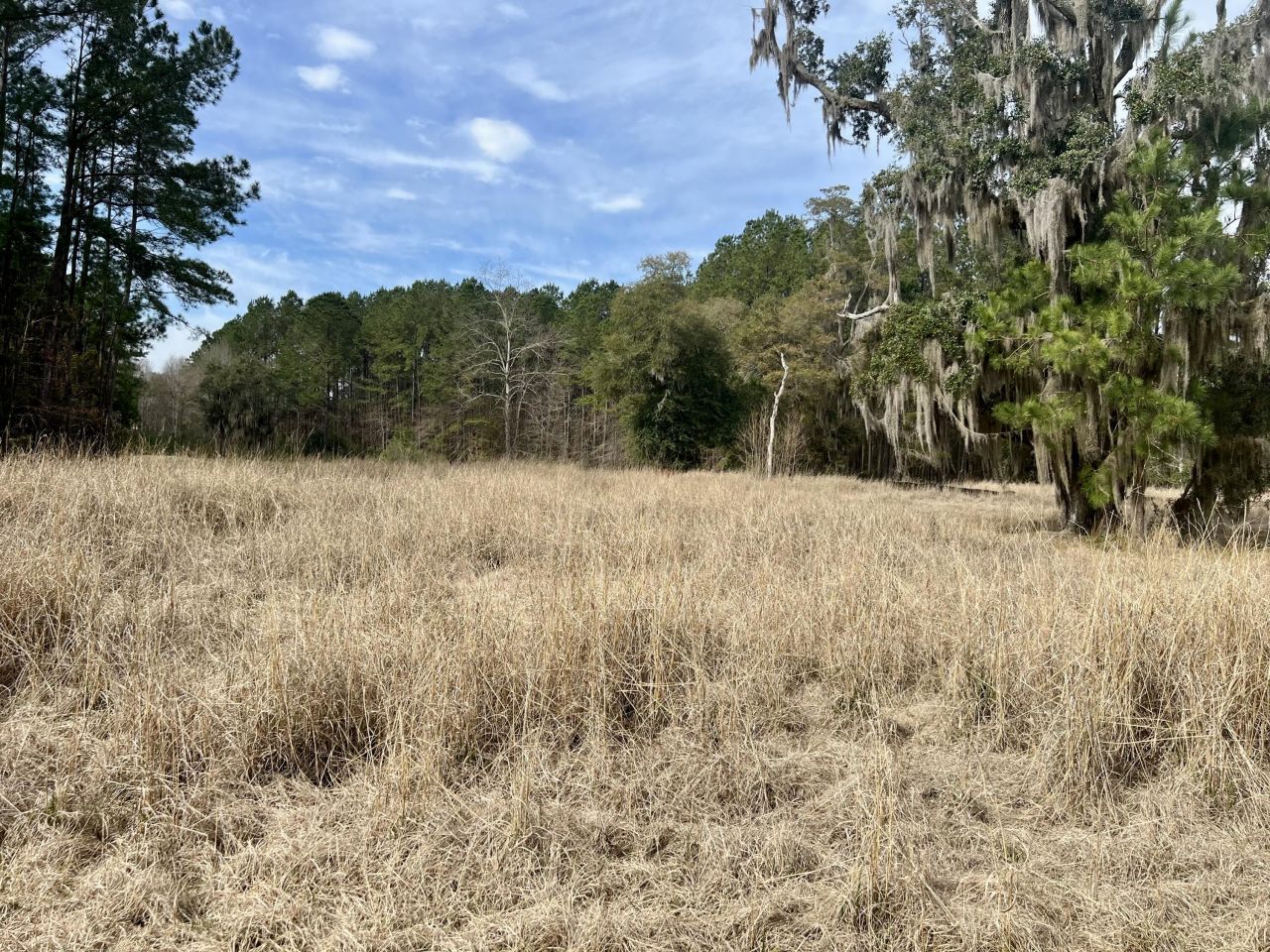 413 Somerset Drive Photo 4