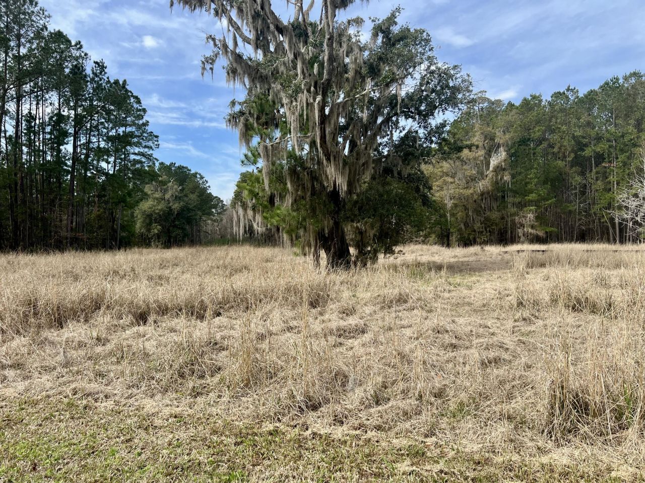 413 Somerset Drive Photo 5