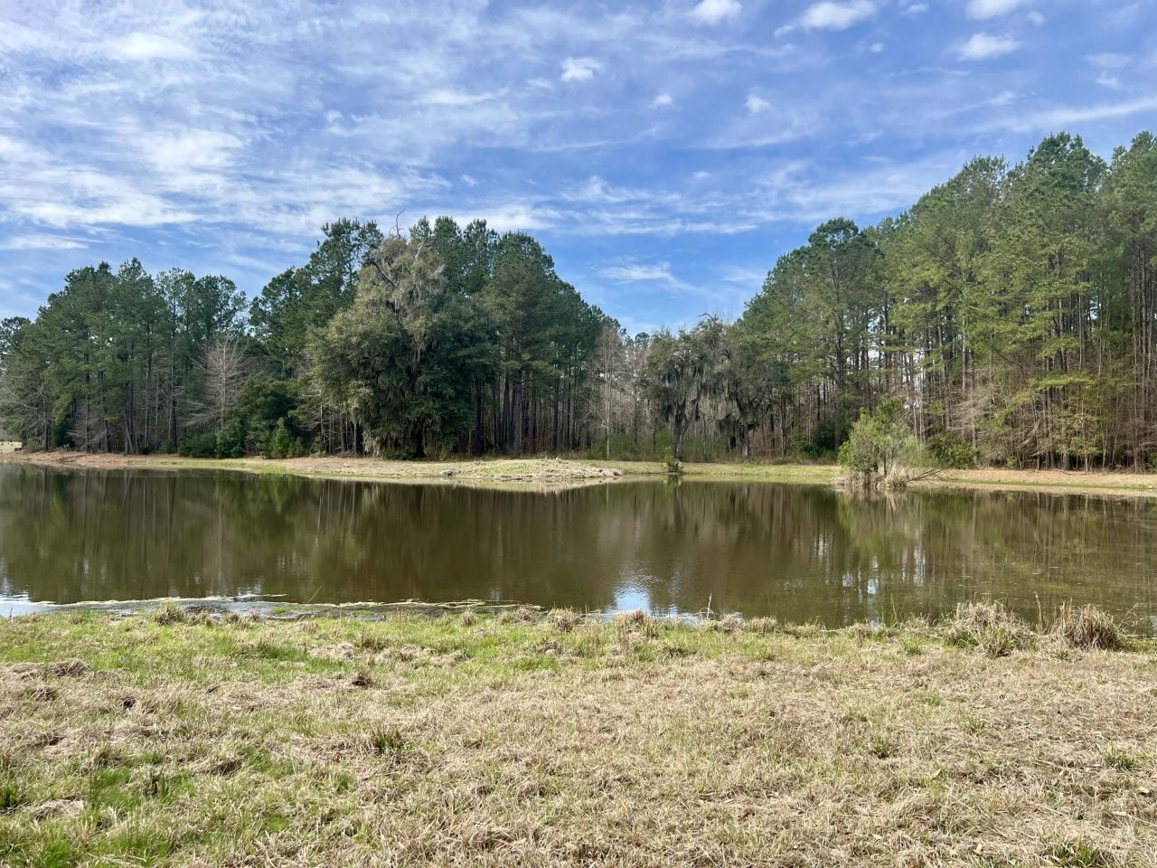 413 Somerset Drive Photo 6