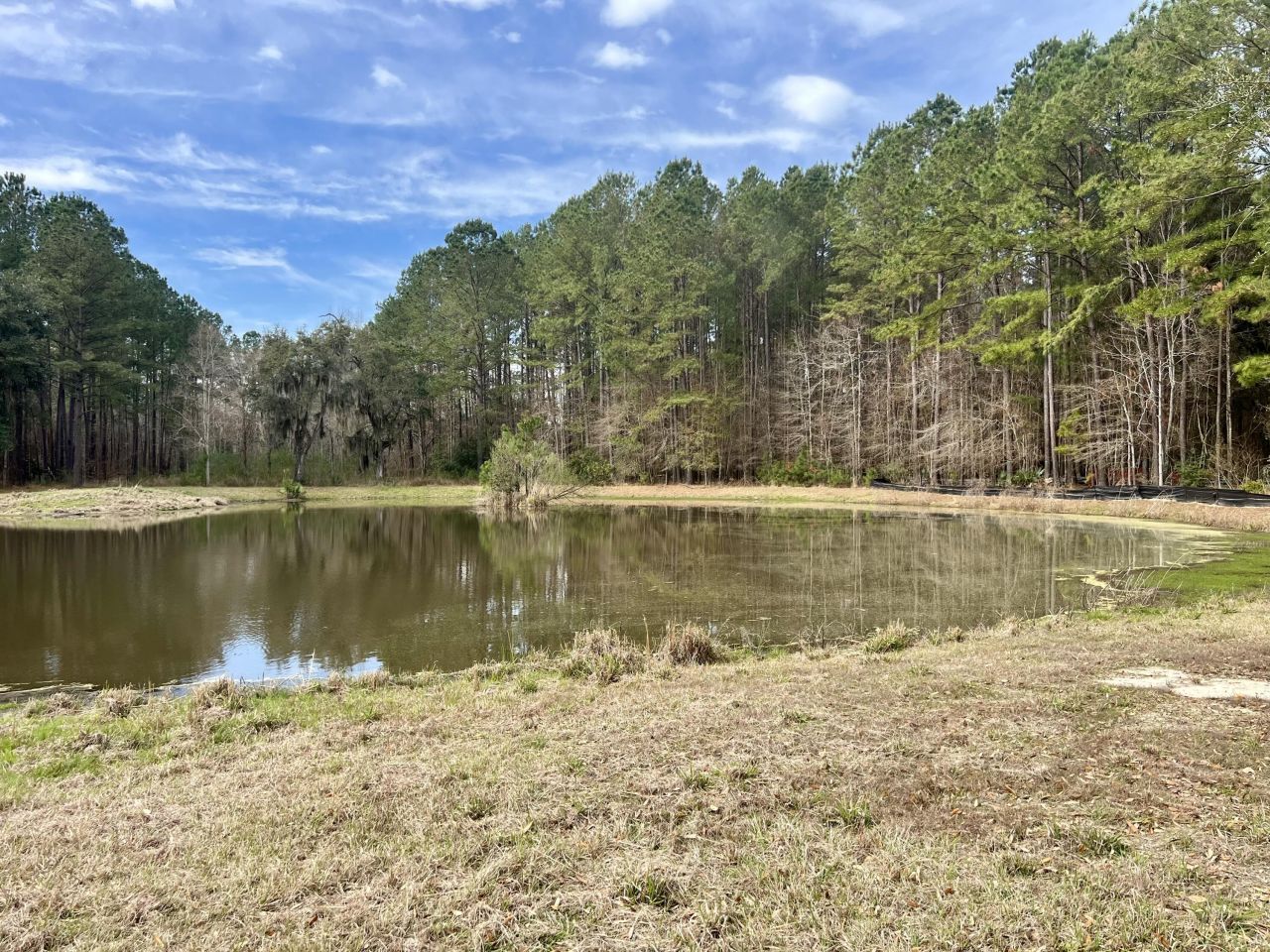 413 Somerset Drive Photo 7