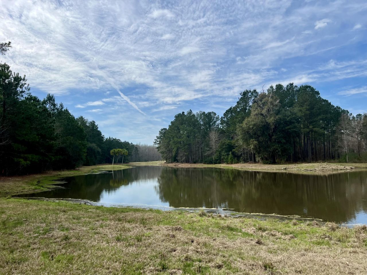 413 Somerset Drive Photo 8