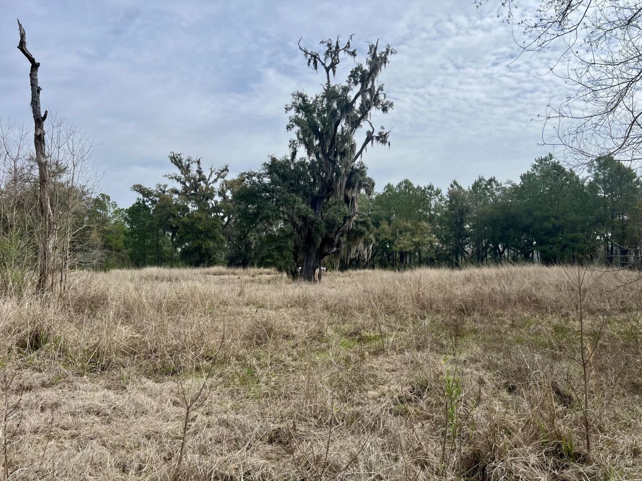 413 Somerset Drive Photo 9