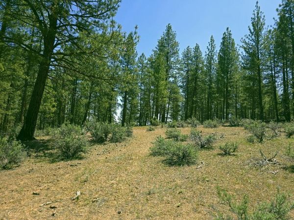0 Elde Street, Unit 20, Chiloquin, OR 97624