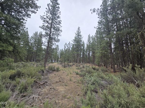 0 Elde Street, Unit 20, Chiloquin, OR 97624