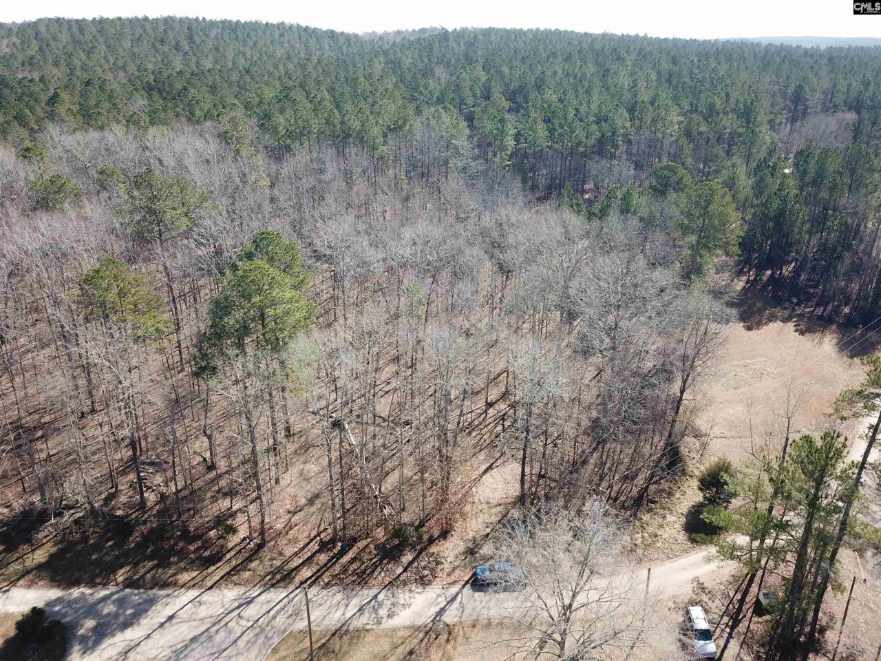 1952 White Road Photo 32