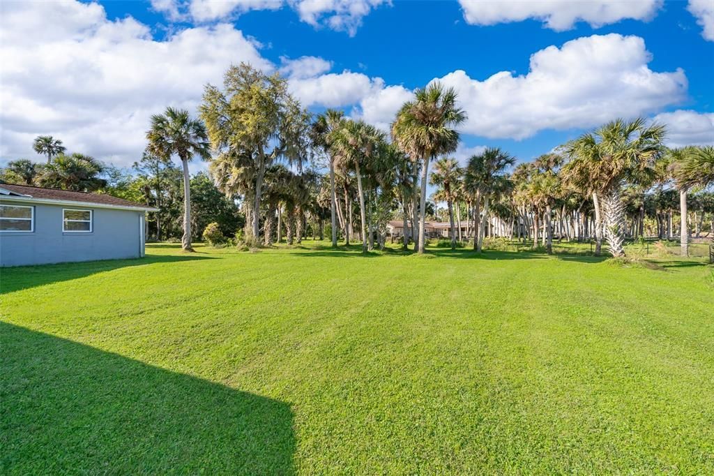 372 Rest Haven Road, Geneva, FL 32732 Photo