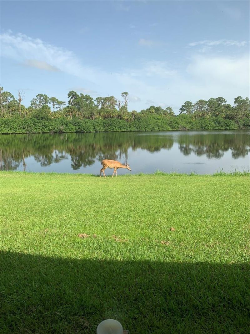 372 Rest Haven Road, Geneva, FL 32732 Photo