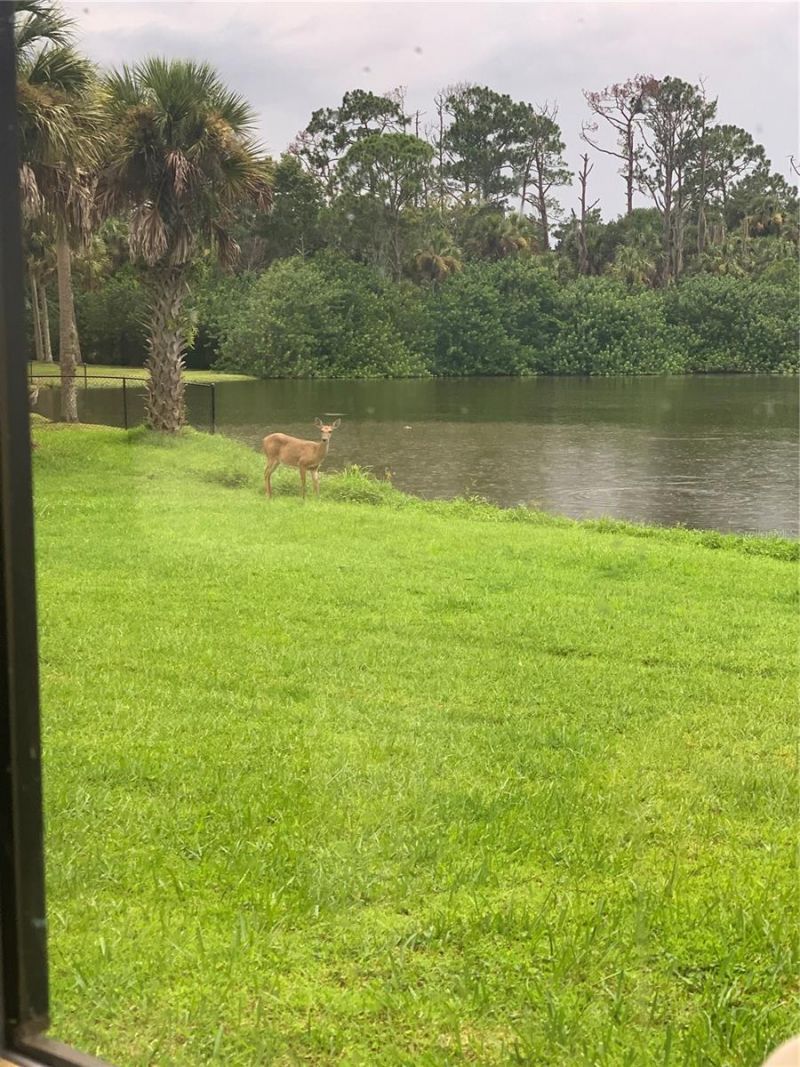 372 Rest Haven Road, Geneva, FL 32732 Photo