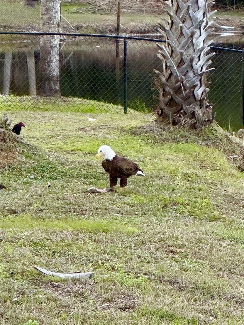 372 Rest Haven Road, Geneva, FL 32732 Photo