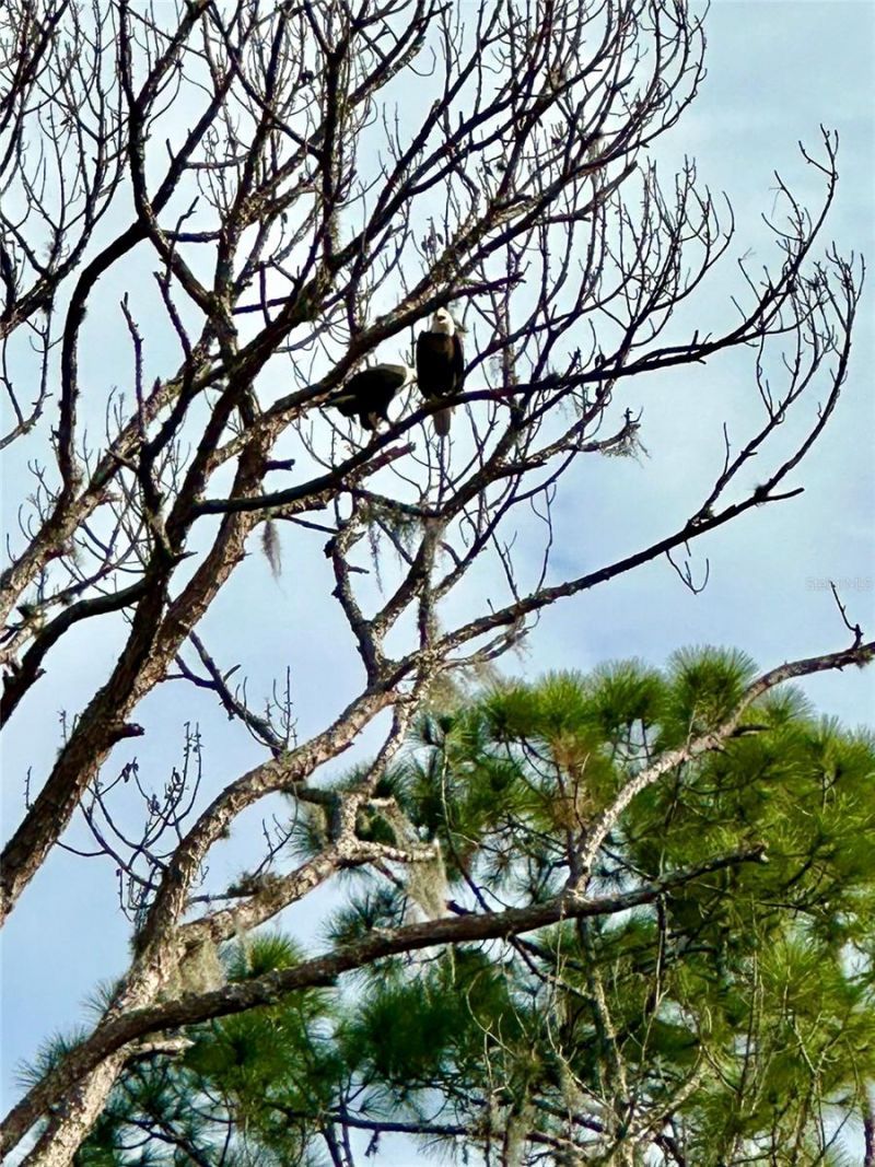 372 Rest Haven Road, Geneva, FL 32732 Photo