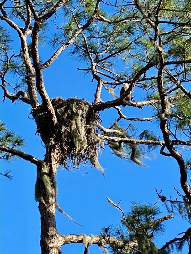 372 Rest Haven Road, Geneva, FL 32732 Photo