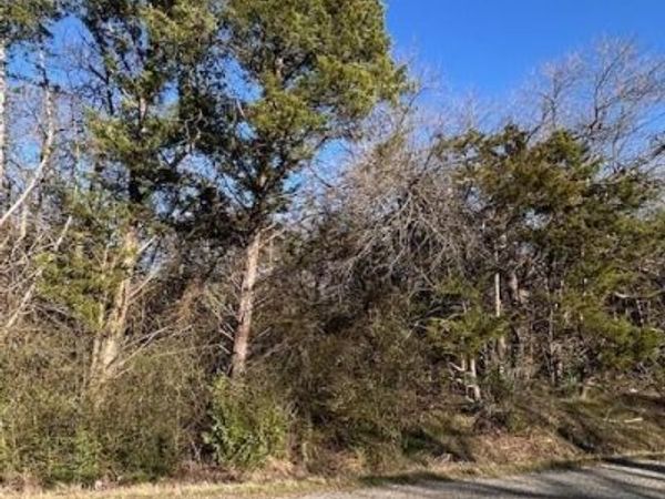 Lots 251-254 County Road, Gordonville, TX 76245