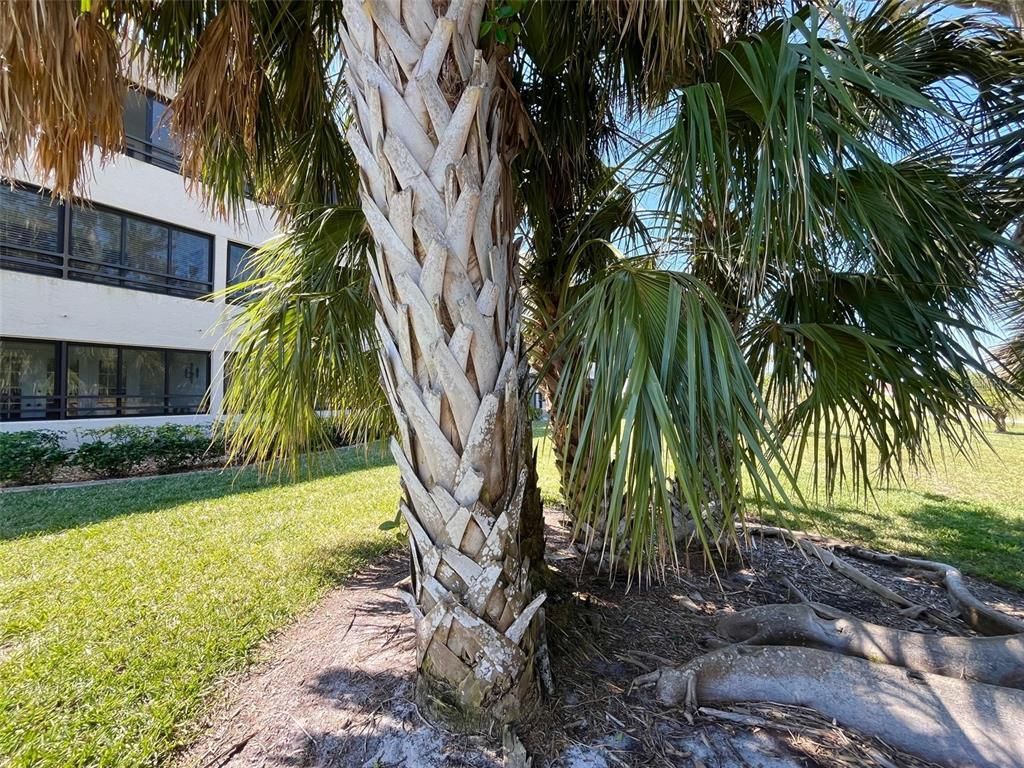 801 Islamorada Boulevard, Unit 22A, Punta Gorda, FL 33955 Photo