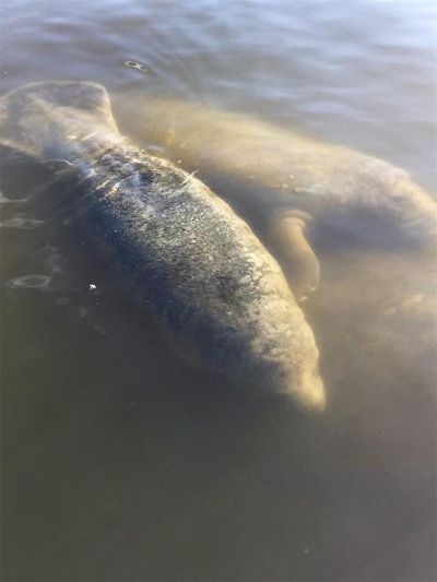 801 Islamorada Boulevard, Unit 22A, Punta Gorda, FL 33955 Photo