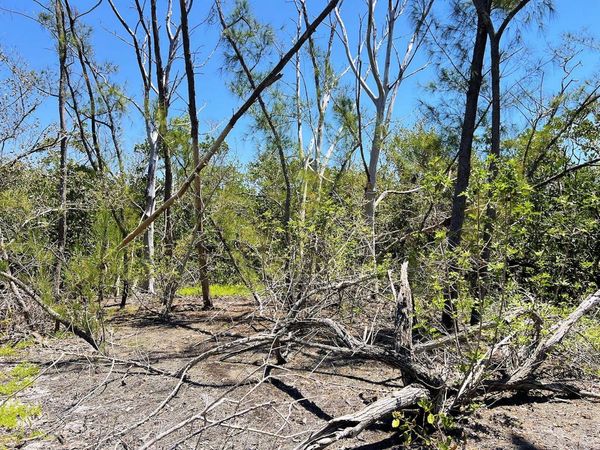 THE ISLAND PROPERTY MANASOTA KEY, ENGLEWOOD, FL 34223