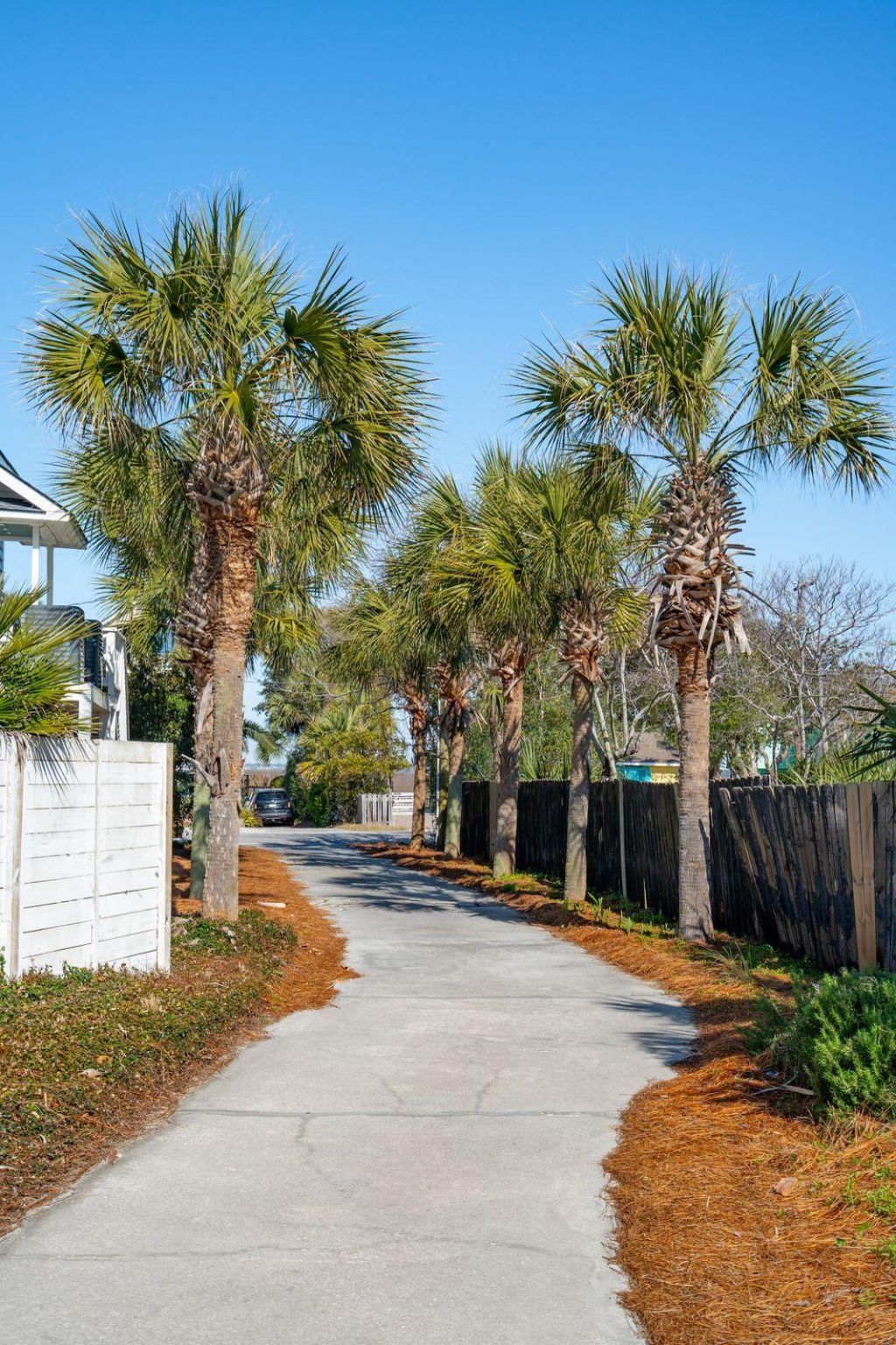 1699 E Ashley Avenue Photo 71