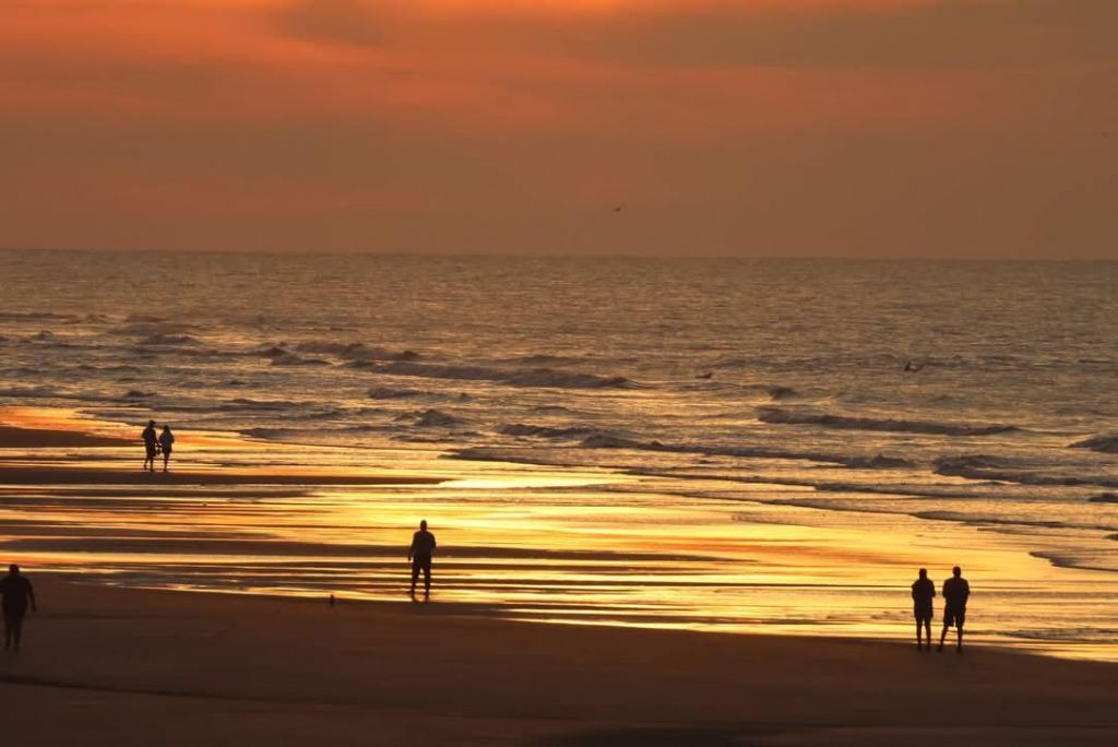 1699 E Ashley Avenue Photo 78