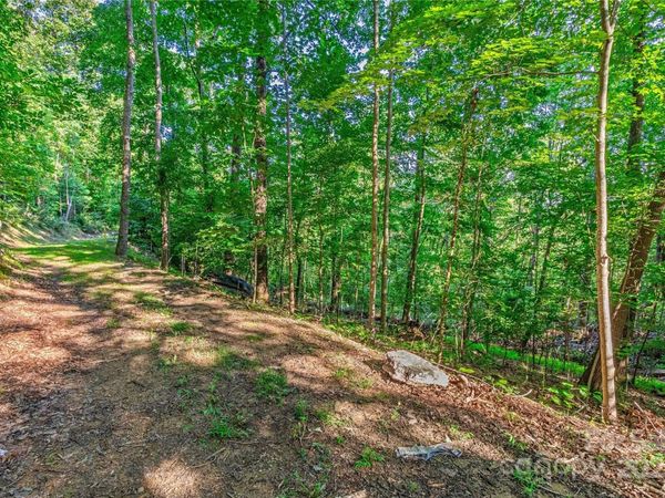 Lot W13 Curtain Bluff, Hendersonville, NC 28791