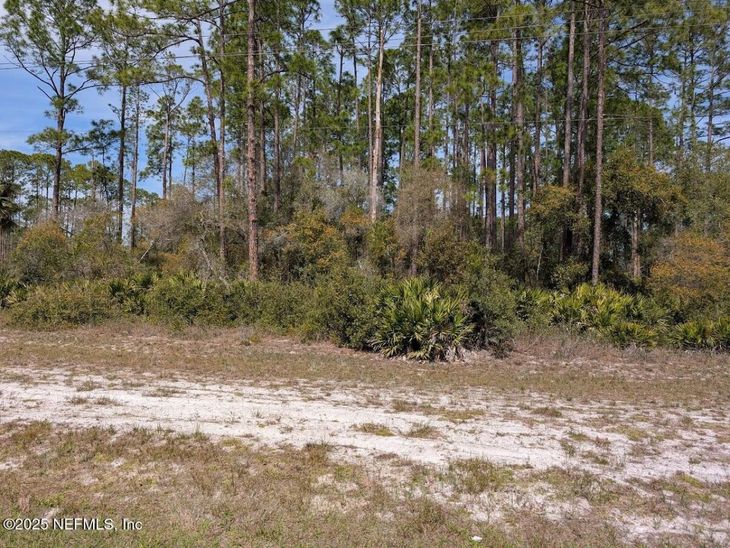 350 & 354 Georgetown Denver Road, Georgetown, FL 32139