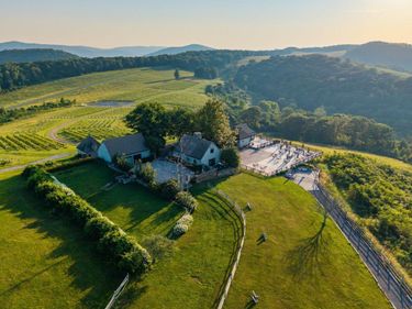 24981 BLUE RIDGE PKWY, VESUVIUS, VA 24483