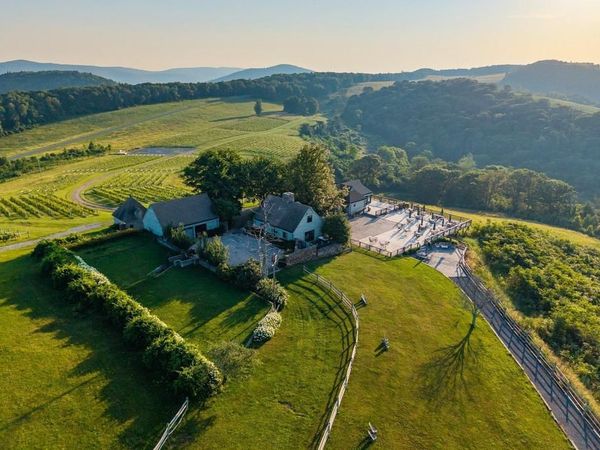 24981 BLUE RIDGE PKWY, VESUVIUS, VA 24483