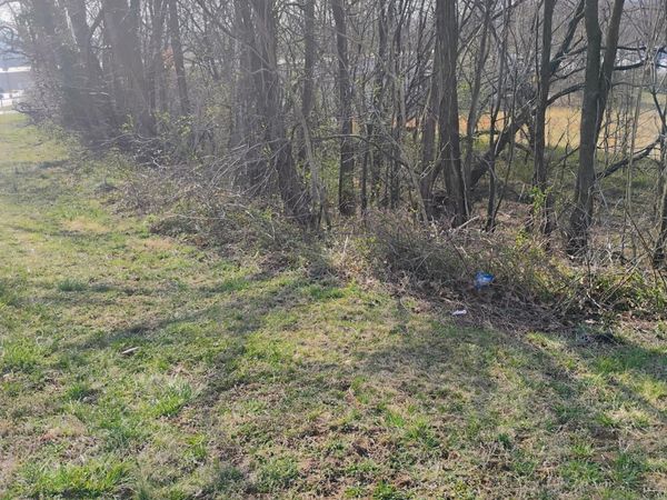 0 Dogwood LN, Troutville, VA 24175